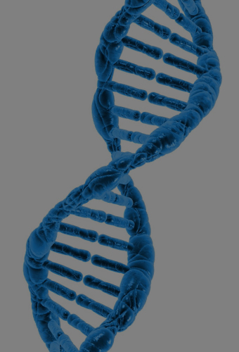 Cell banking represented by a DNA structure